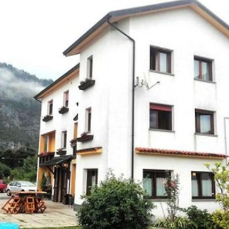 Albergo Alla Pineta Villa Santina Екстериор снимка