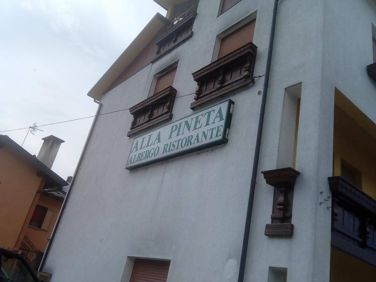 Albergo Alla Pineta Villa Santina Екстериор снимка